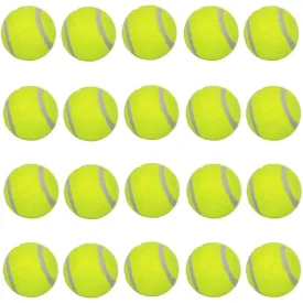 20 Pcs Pet Dog Tennis Ball Premium Fetch Toy 2 Inch Mini Tennis Ball for Puppy Small Dog