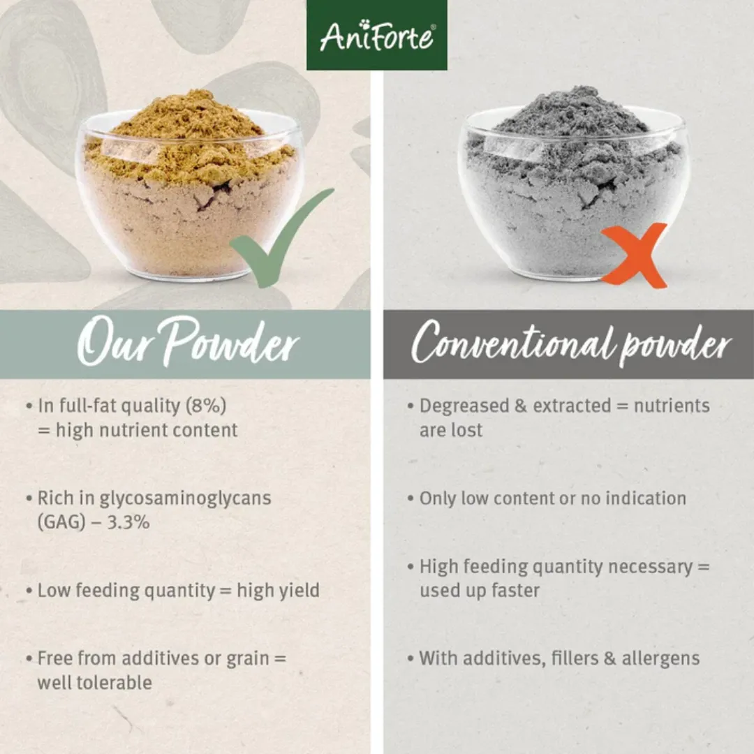 AniForte Green Lipped Mussel Powder