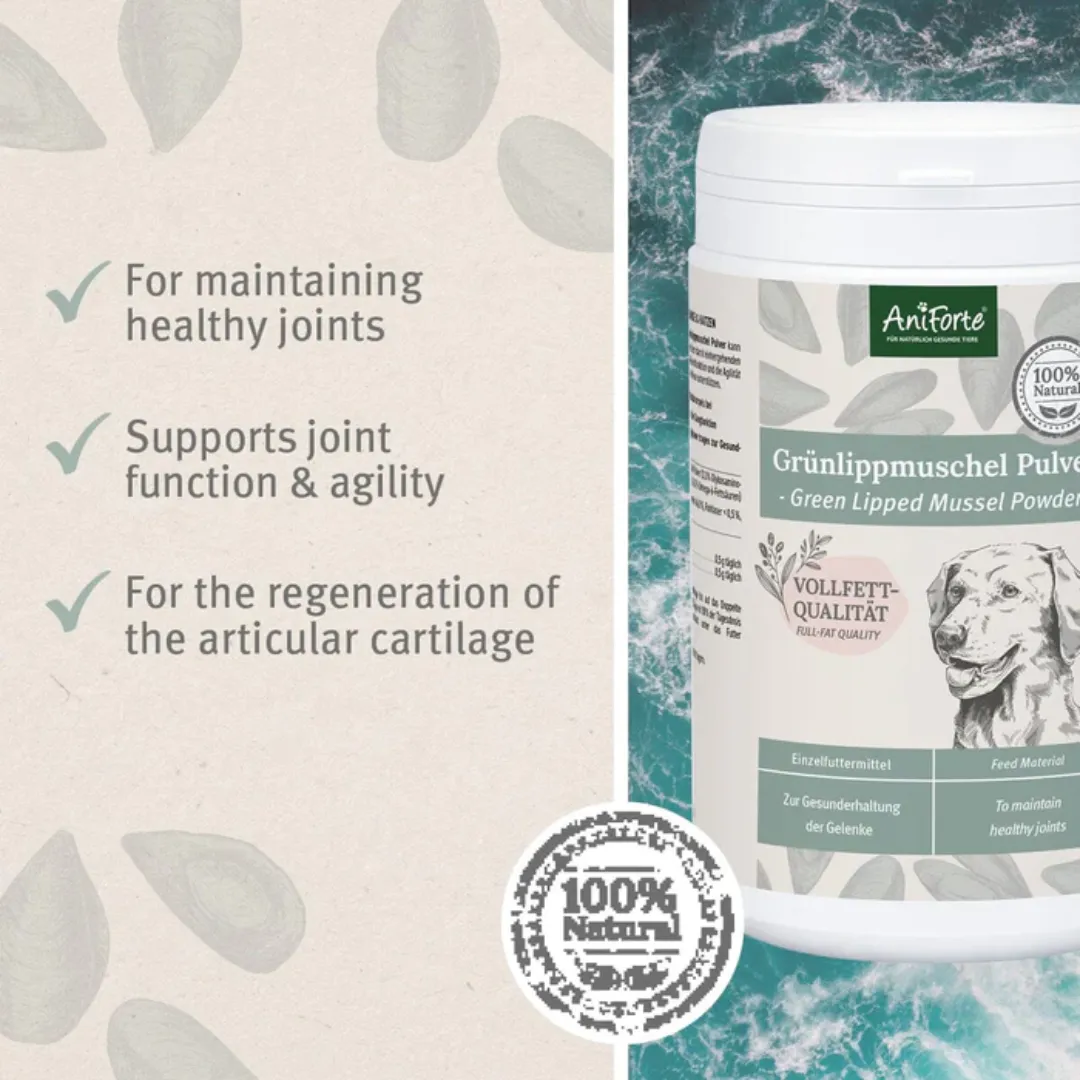 AniForte Green Lipped Mussel Powder