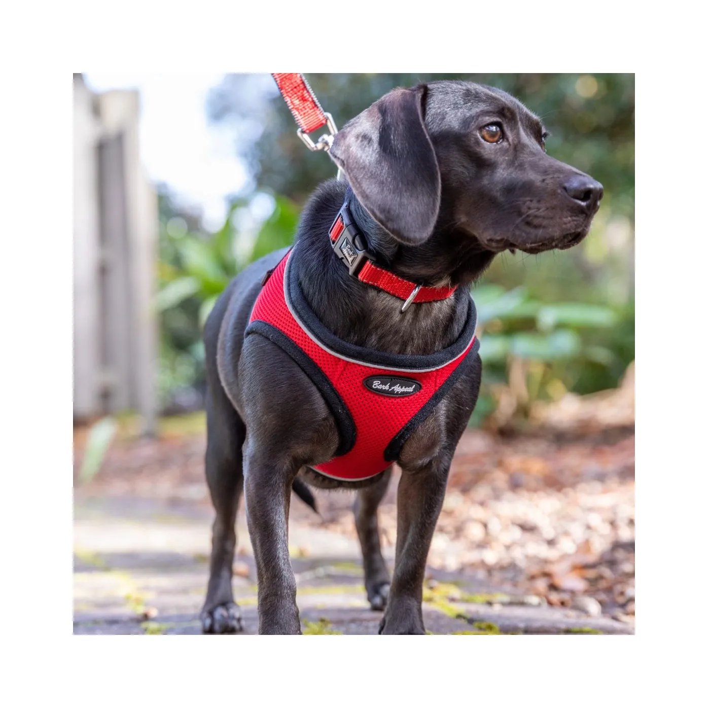 Bark Appeal Step-In Mesh Harness Black