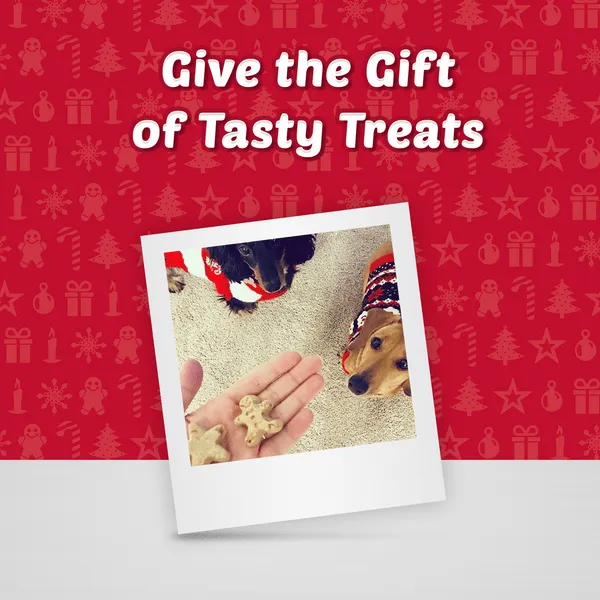 BLUE Santa Snacks Crunchy Dog Biscuits