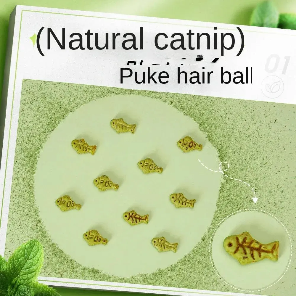 Cat Mint Biscuit Molar Nutrition