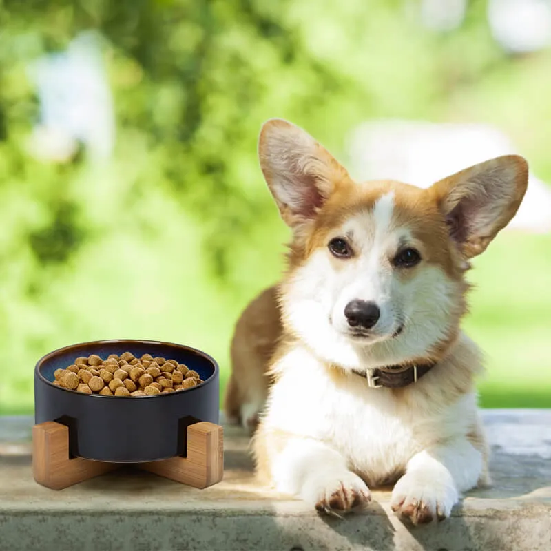 Ceramic Dog Bowl with Starry Sky Glaze