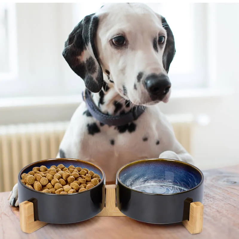 Ceramic Dog Bowl with Starry Sky Glaze