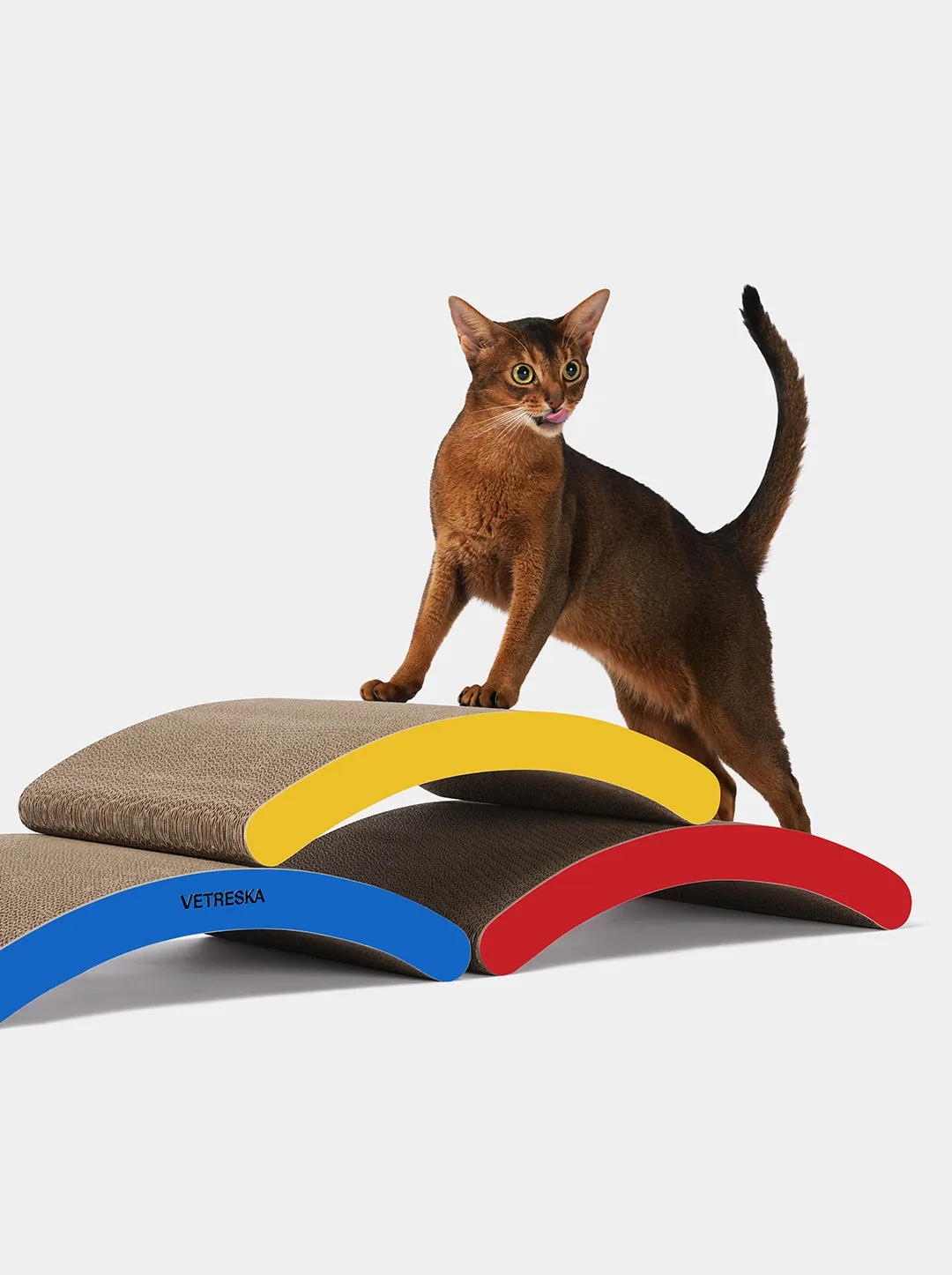 Chroma Cat Scratcher