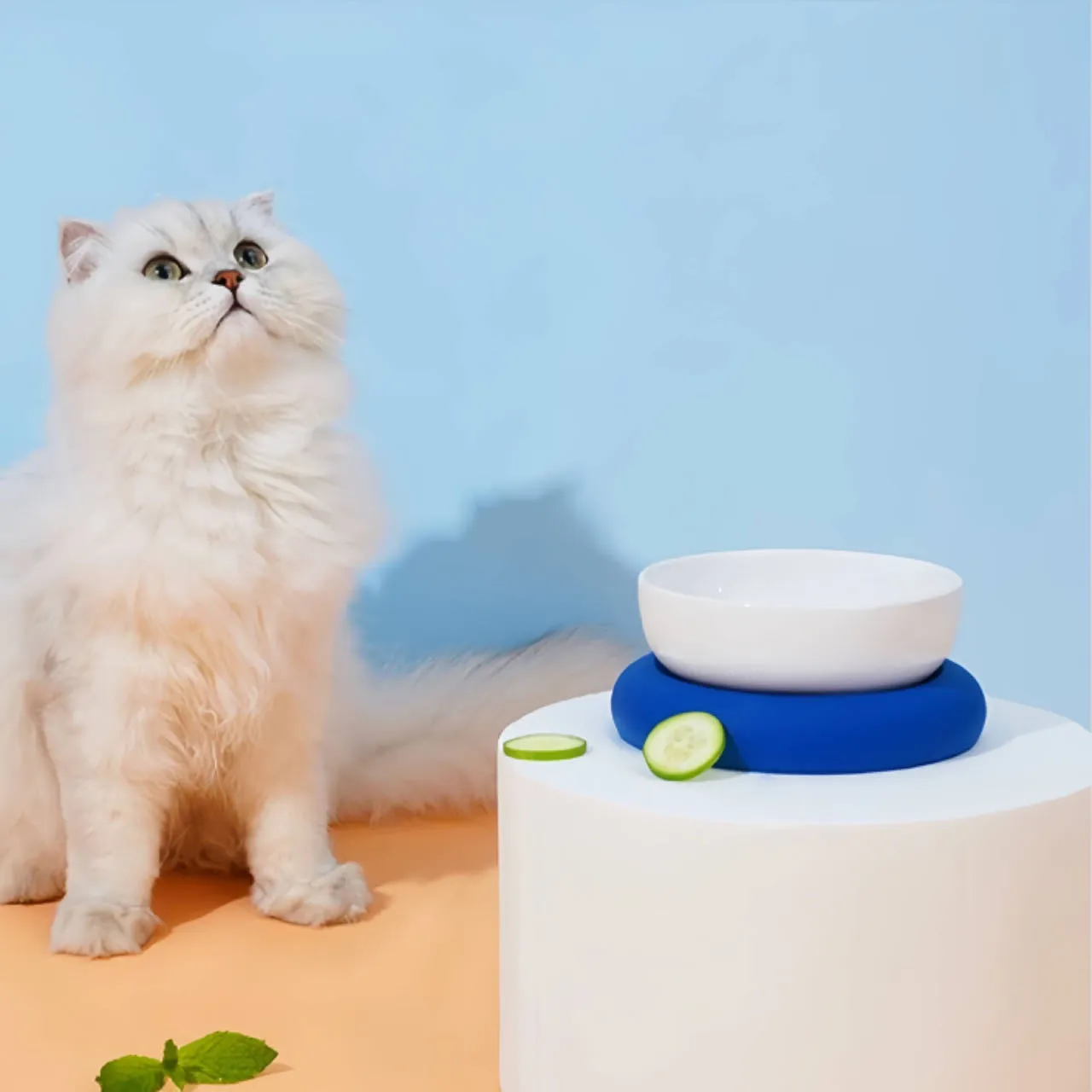 Circle Ceramic Double Pet Bowl Cat Bowls Dog Bowls