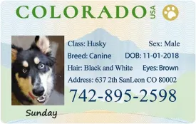 Colorado Driver License Custom Dog Tag for Pets - Personalized Pet ID Tags - Dog Tags for Dogs - Dog ID Tag - Personalized Dog ID Tags - Dog Tags - Pet ID Tags for Cats - Available for All 50 States
