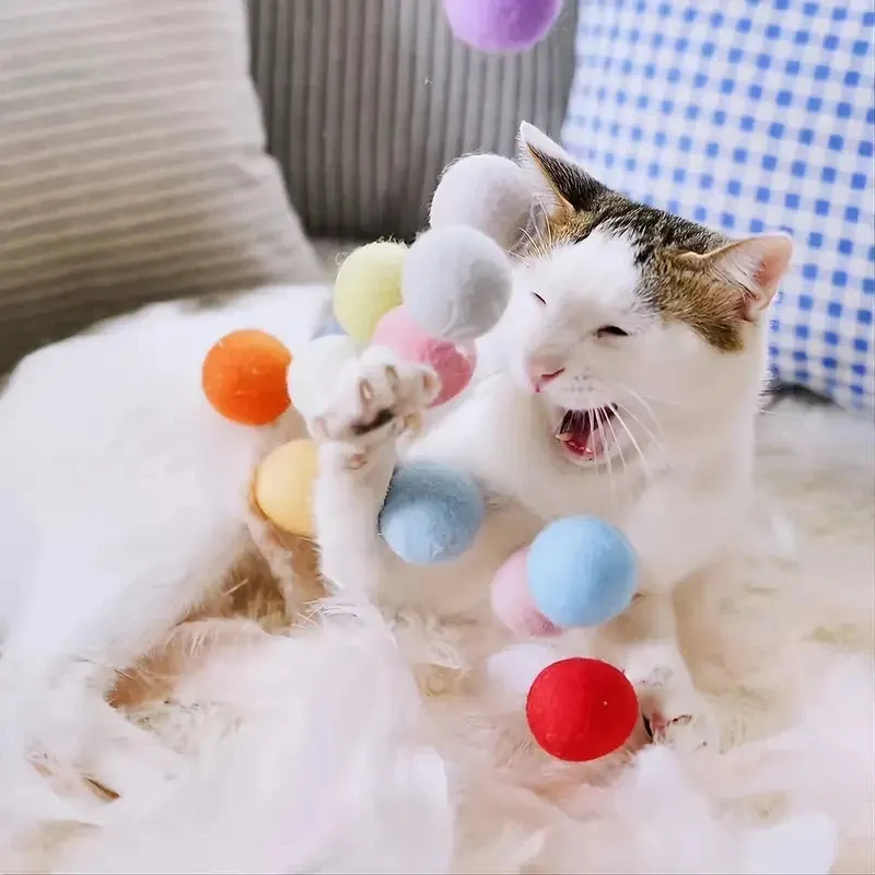 Colorful Cat Pom Pom Balls - Pack of 50/100