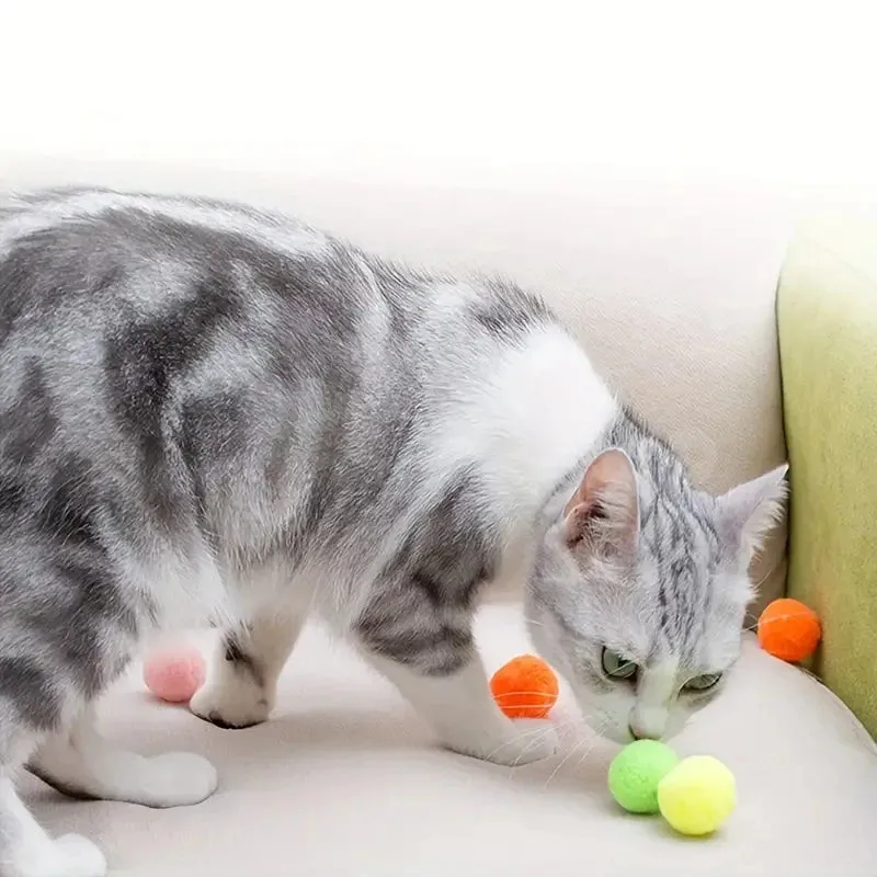 Colorful Cat Pom Pom Balls - Pack of 50/100