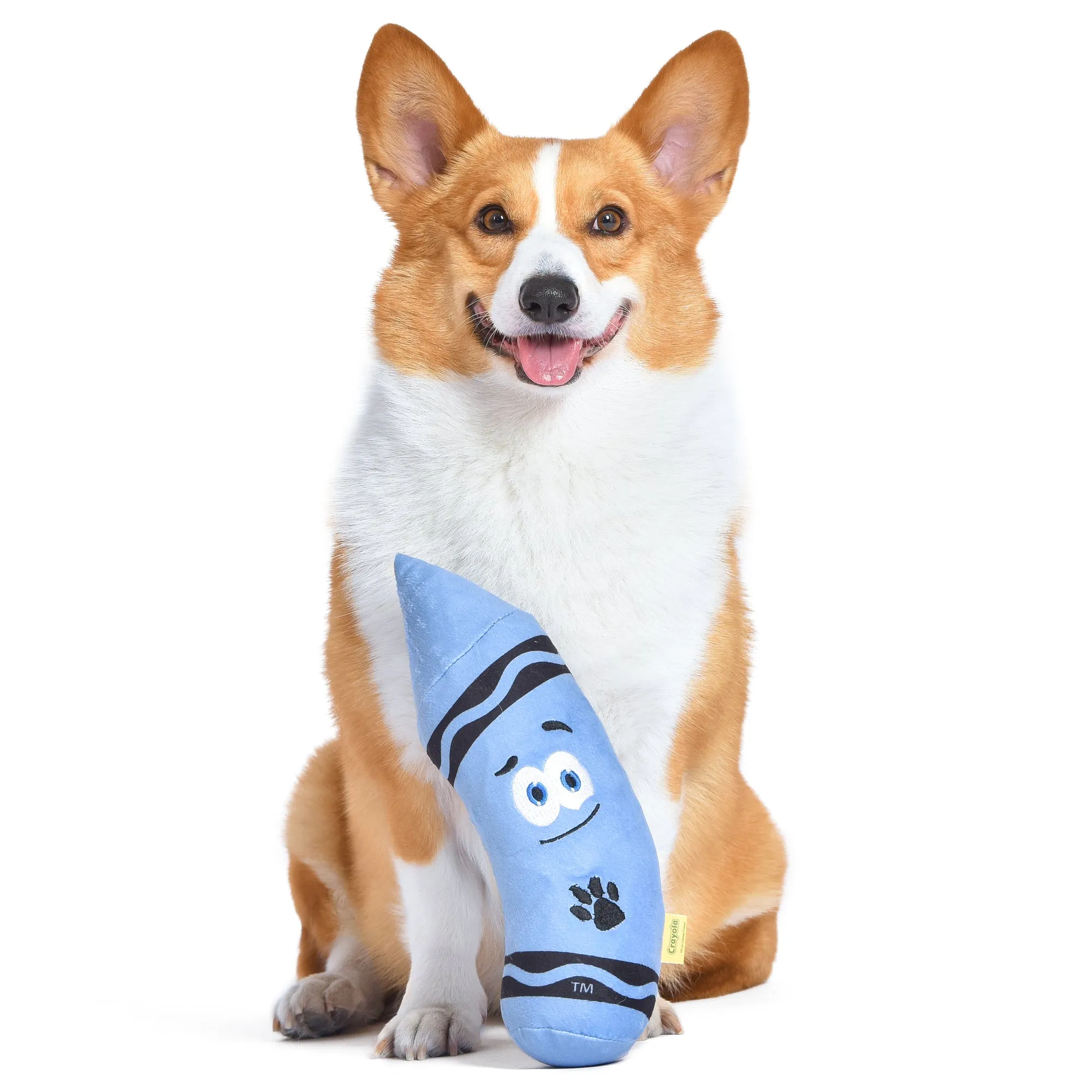 Crayola: 12" Aromatherapy Blue Crayon Plush Squeaker Pet Toy