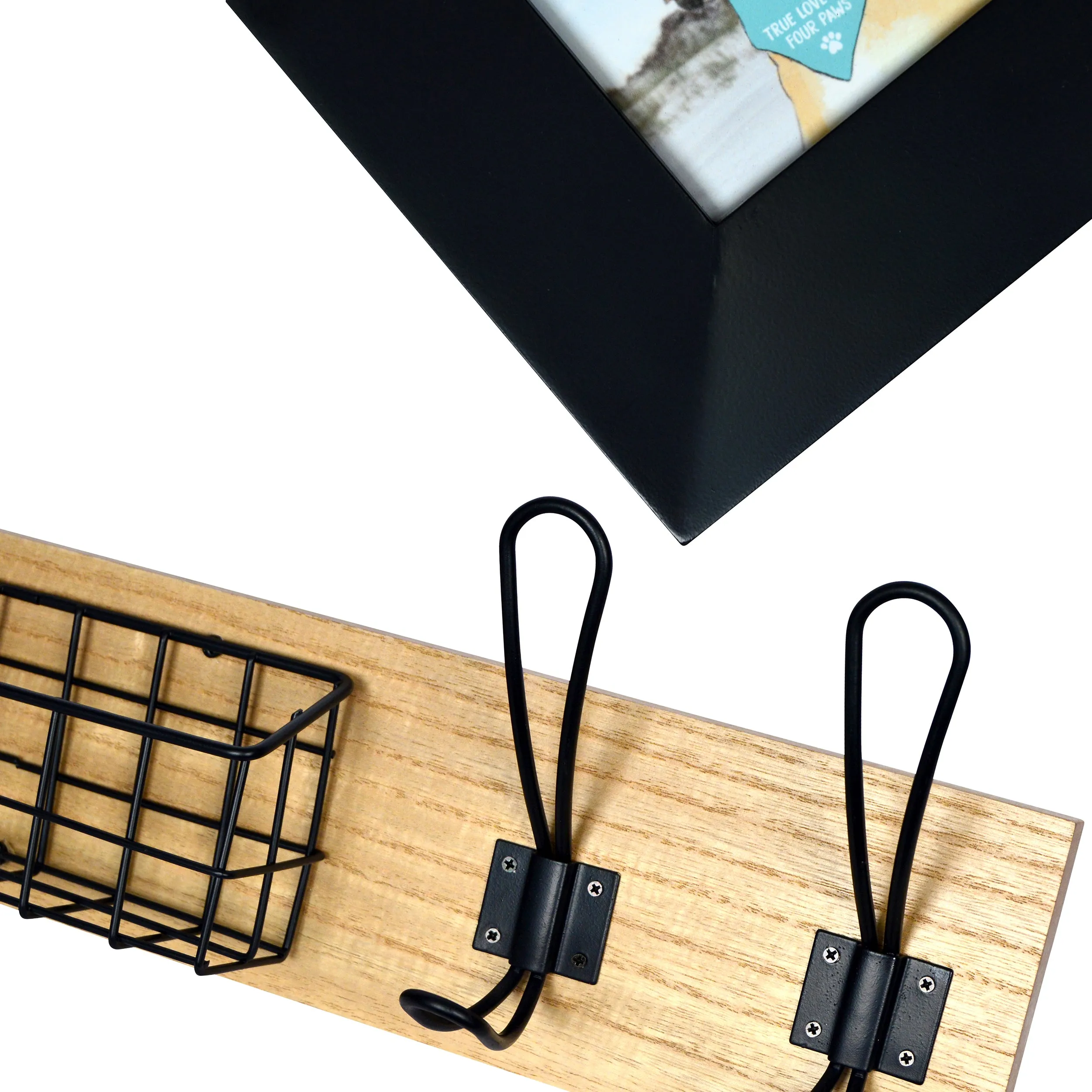 Curated Pet Organizer Set