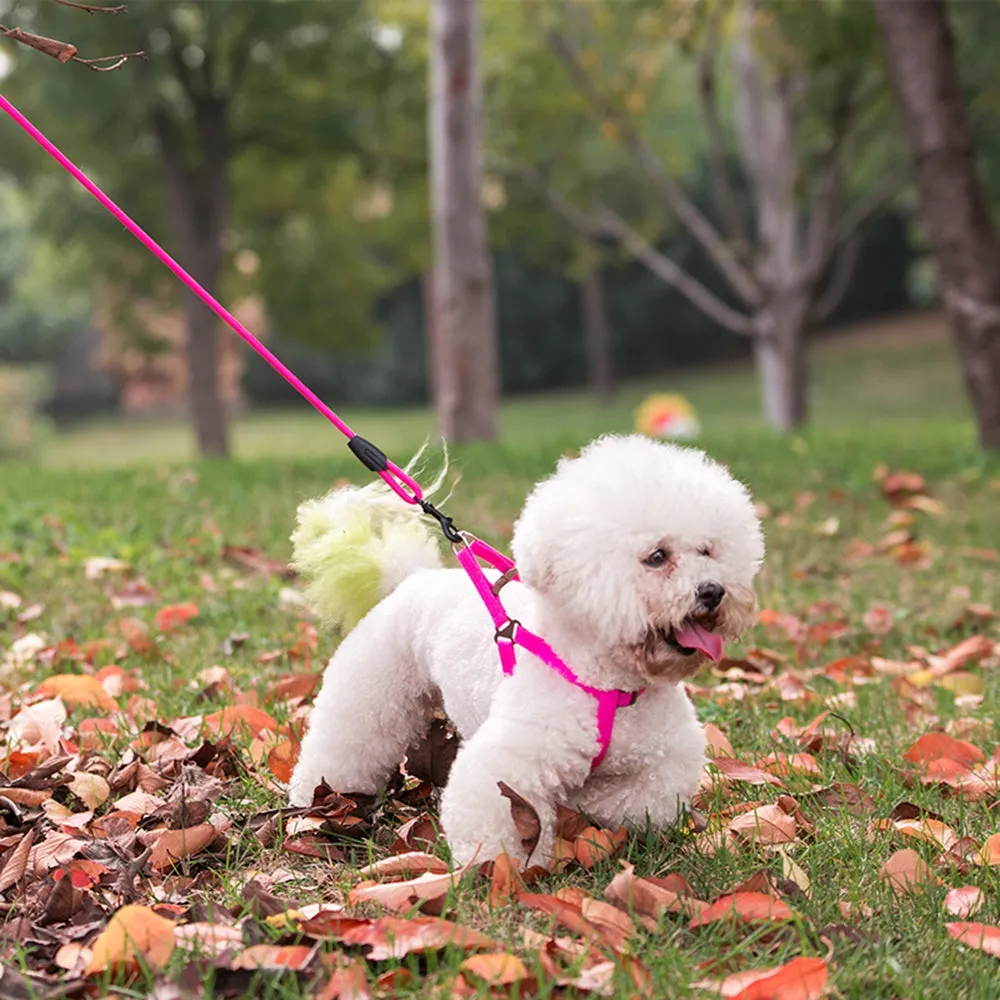 dadugo dog leash Traction Rope Pet dog harness for small and large dogs 5 color size s/m/l/xl