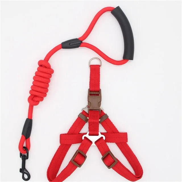 dadugo dog leash Traction Rope Pet dog harness for small and large dogs 5 color size s/m/l/xl