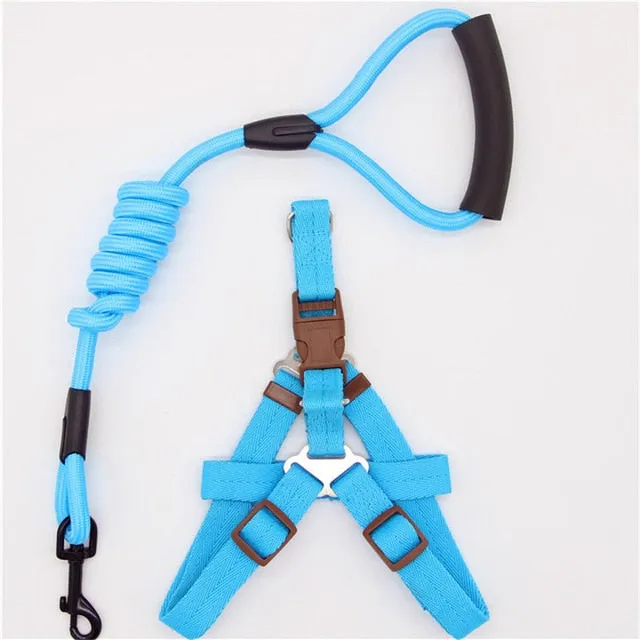 dadugo dog leash Traction Rope Pet dog harness for small and large dogs 5 color size s/m/l/xl