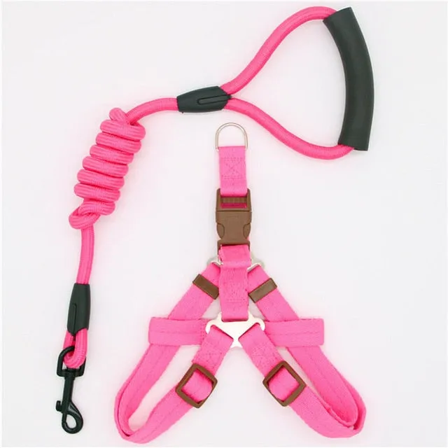 dadugo dog leash Traction Rope Pet dog harness for small and large dogs 5 color size s/m/l/xl