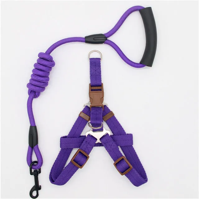 dadugo dog leash Traction Rope Pet dog harness for small and large dogs 5 color size s/m/l/xl