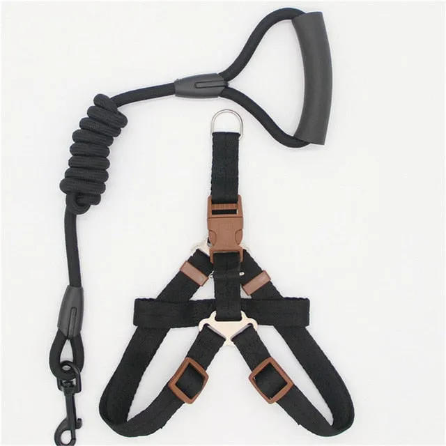 dadugo dog leash Traction Rope Pet dog harness for small and large dogs 5 color size s/m/l/xl