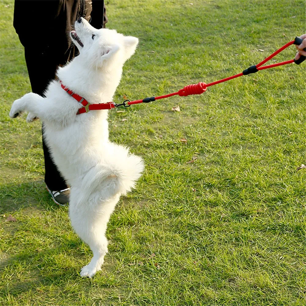 dadugo dog leash Traction Rope Pet dog harness for small and large dogs 5 color size s/m/l/xl