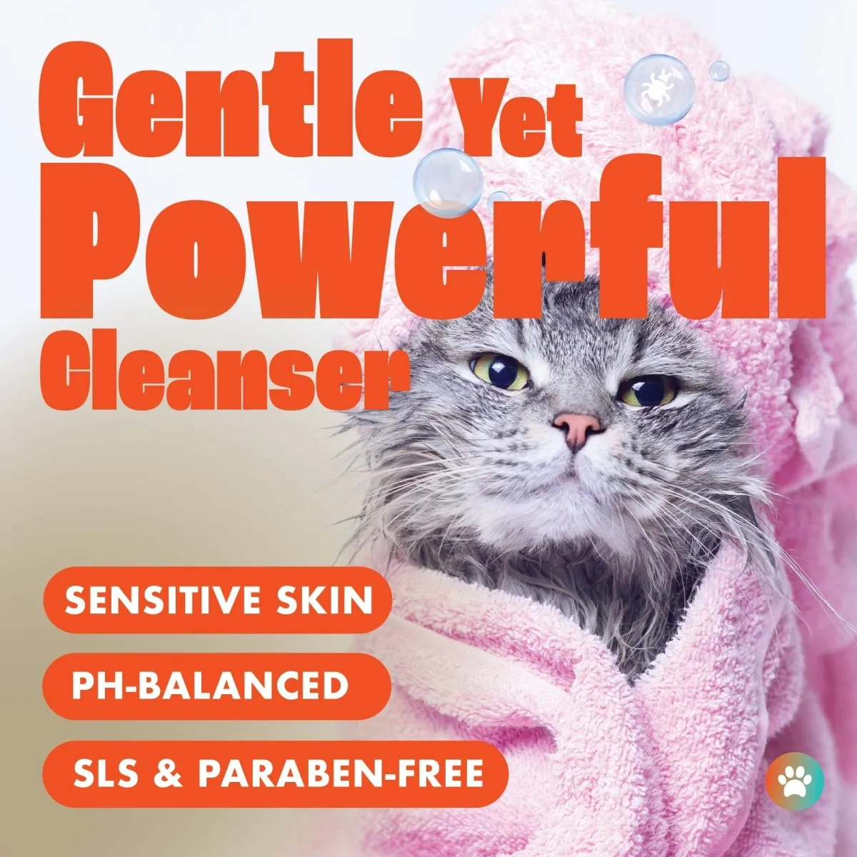 Dirtbusters Pet Pro Cat Flea Shampoo (2L)