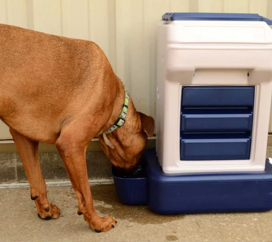 Dog Food and Water Dispenser - Bergan K-9 Cafe Tray Pack