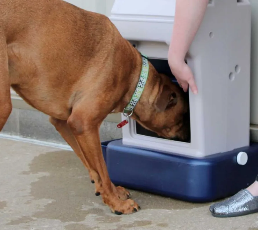 Dog Food and Water Dispenser - Bergan K-9 Cafe Tray Pack
