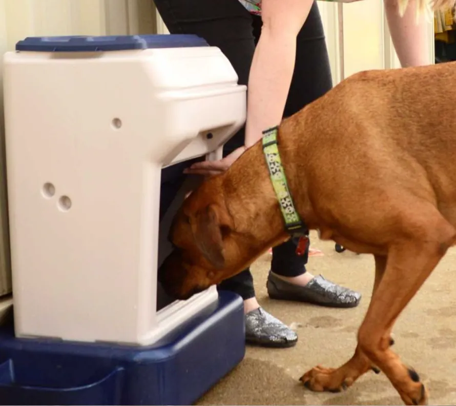 Dog Food and Water Dispenser - Bergan K-9 Cafe Tray Pack