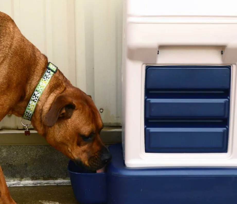 Dog Food and Water Dispenser - Bergan K-9 Cafe Tray Pack