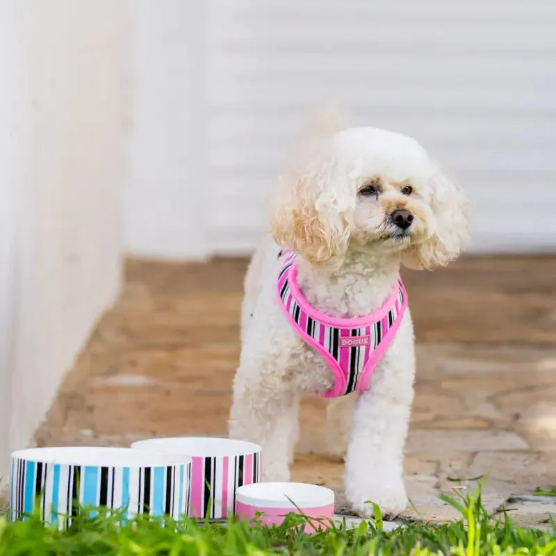 DOGUE Ceramic Candy Stripe Collection Dog Bowl