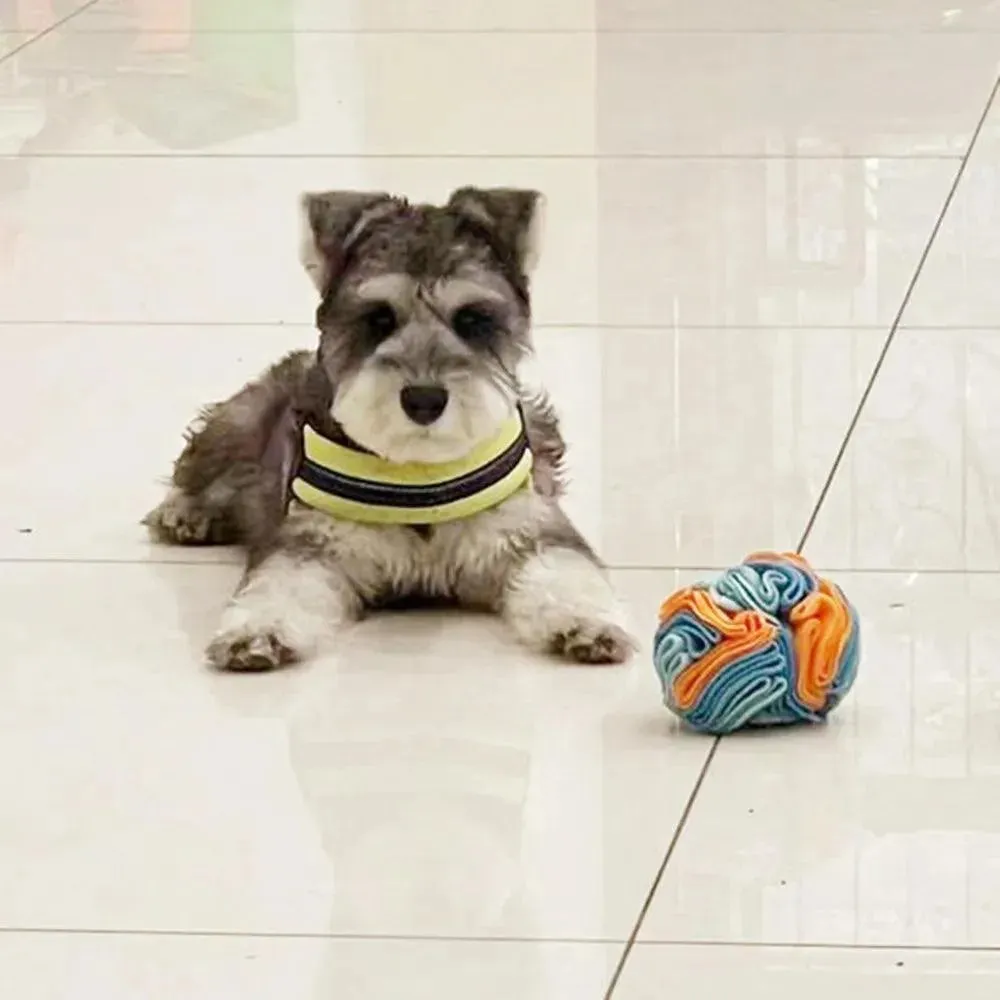Engage Educate Entertain Sniffing Mat Ball