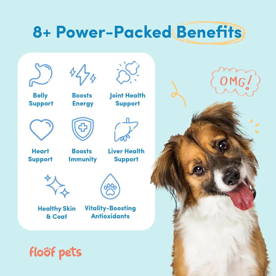 Floof Pets - All Furr One Dog Multivitamins (75g)