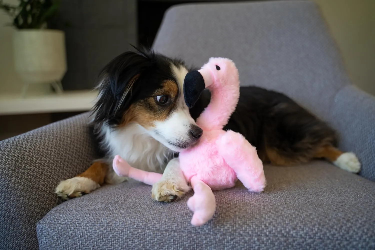 Flourish Pets 3 in 1 Multi-Layer Chew Toy for Active Dogs | Non-Toxic BPA Free Double Stitched Soft Fabric Exterior Dog Toys | Long-Lasting Dog Plush Toys Small Flamingo 13.5"