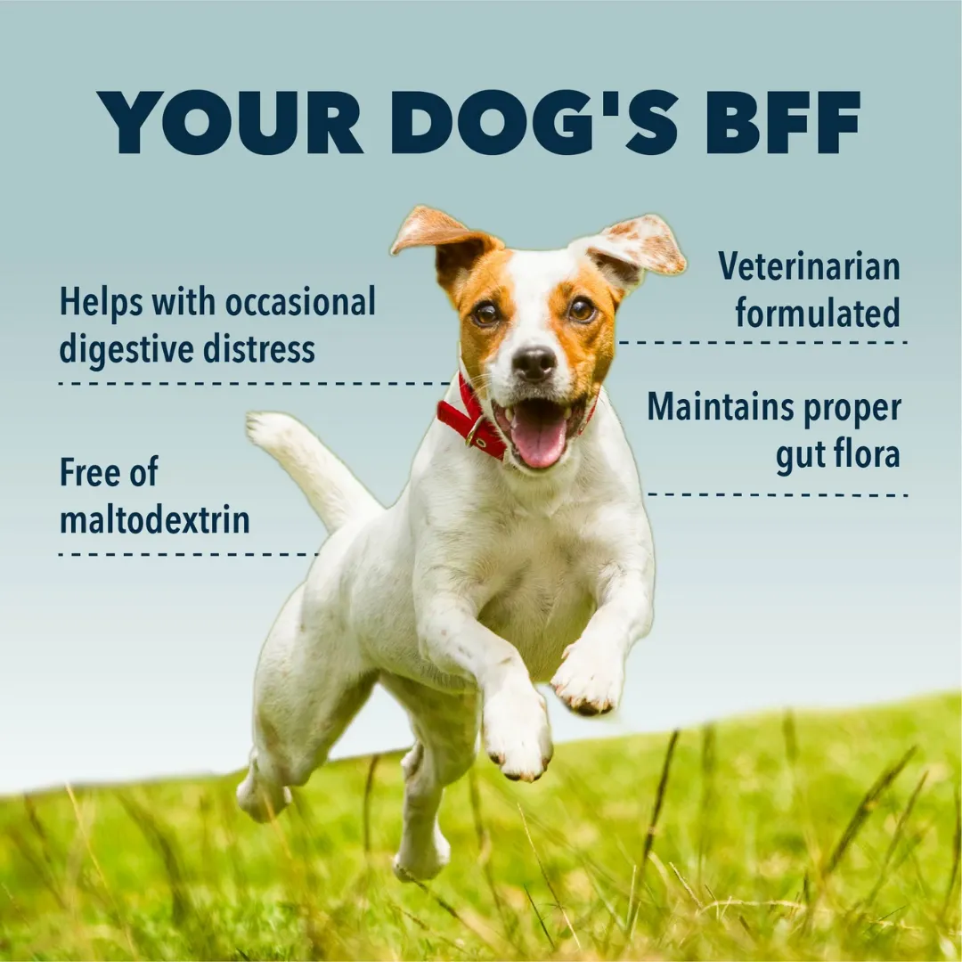 Four Leaf Rover - Bifido for Fido - Probiotics 50.1g
