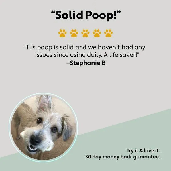 Four Leaf Rover - Bifido for Fido - Probiotics 50.1g