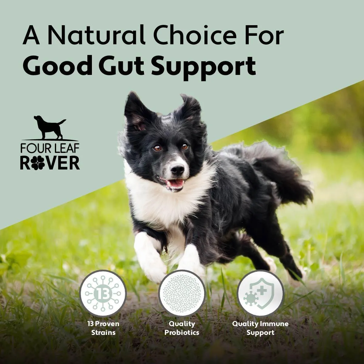 Four Leaf Rover - Bifido for Fido - Probiotics 50.1g