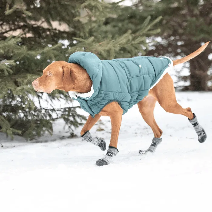 GF Pet Boots For Dogs All Terrain Black
