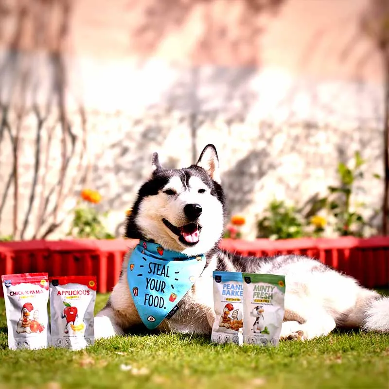 Goofy Tails Applicious Apple and Banana Gluten Free Veg Biscuits for Dogs and Puppies