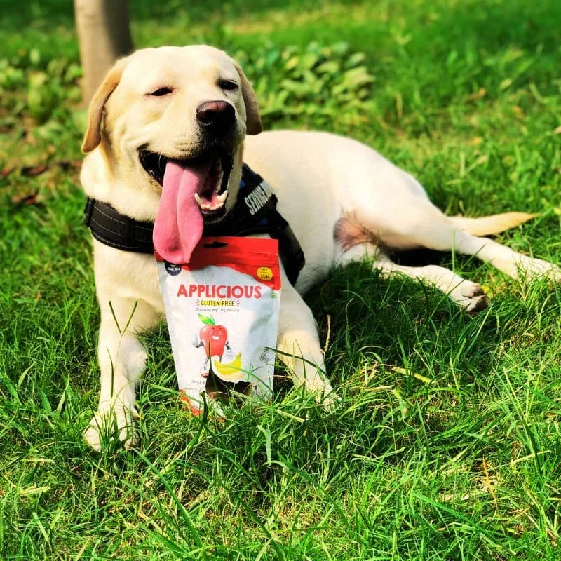 Goofy Tails Applicious Apple and Banana Gluten Free Veg Biscuits for Dogs and Puppies