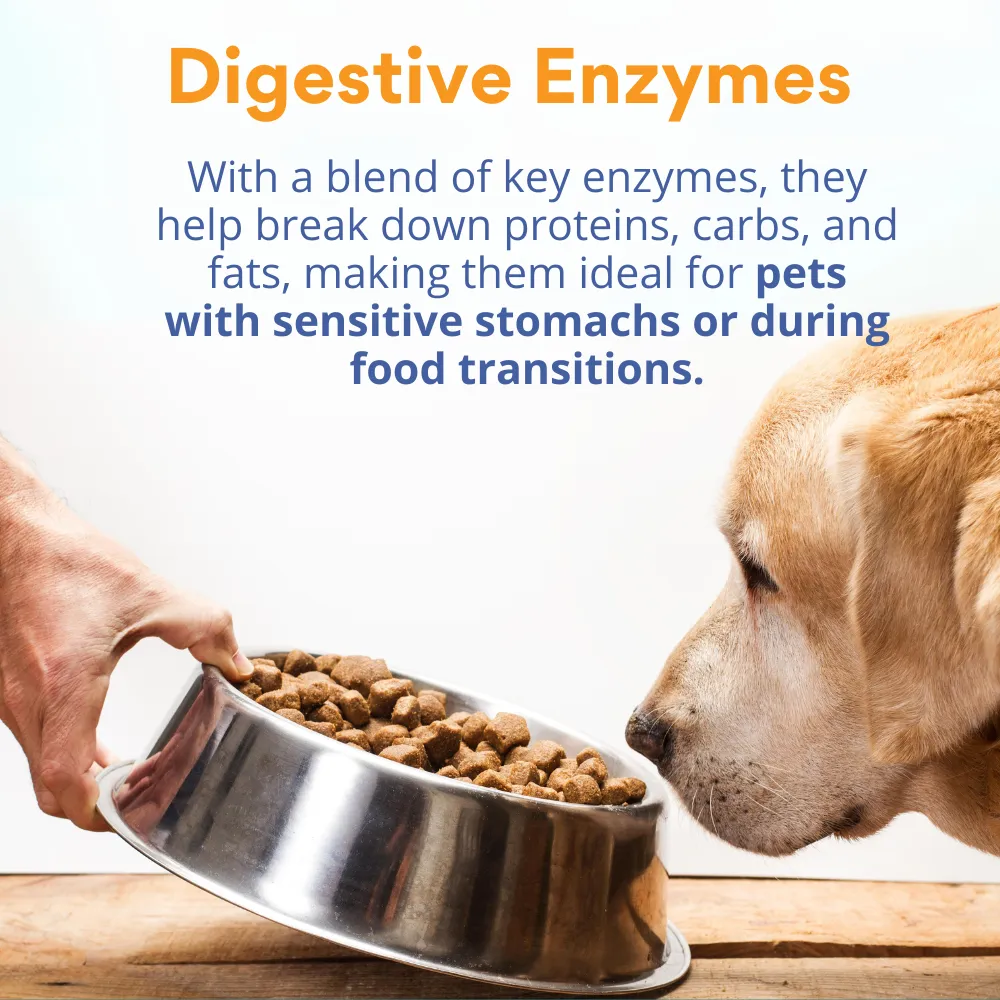 Kanu Pet Digestive Enzymes  Probiotic Powder, Digestive Supplement for Dogs and Cats