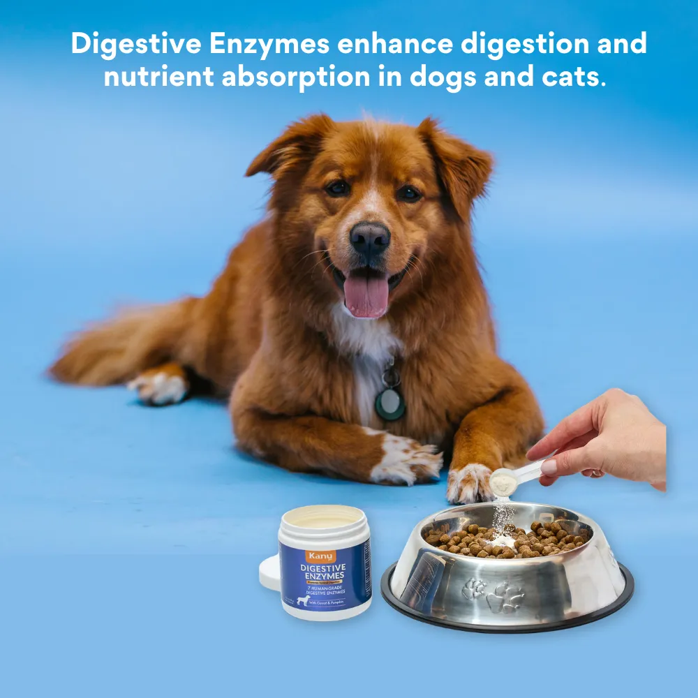 Kanu Pet Digestive Enzymes  Probiotic Powder, Digestive Supplement for Dogs and Cats