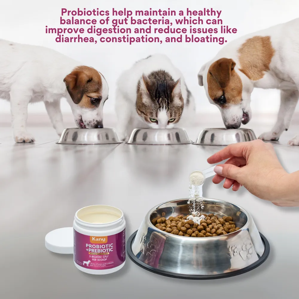 Kanu Pet Probiotic   Prebiotic Powder Digestive Supplement for Dogs and Cats