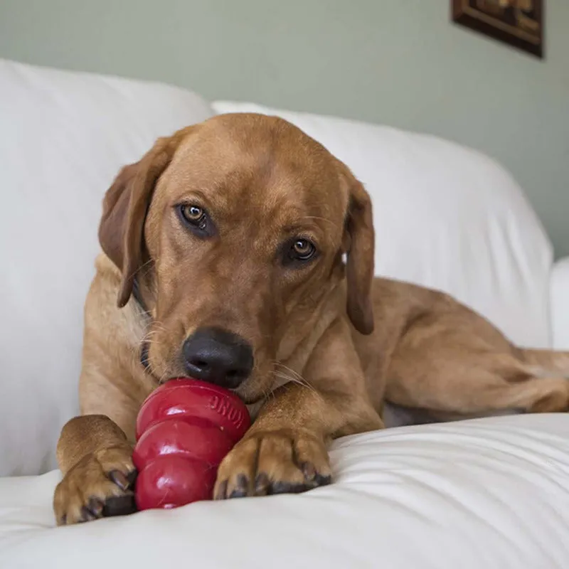 KONG | Dog Biscuits | Snacks Peanut Butter