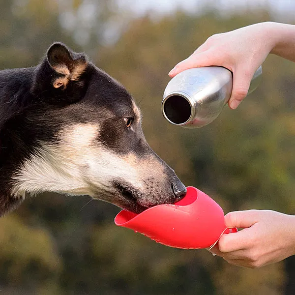 KONG Stainless Steel Bottle