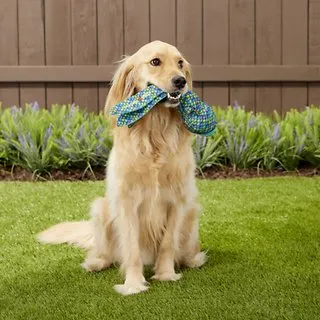 KONG Wubba ™ Wubba Finz Dog Toy