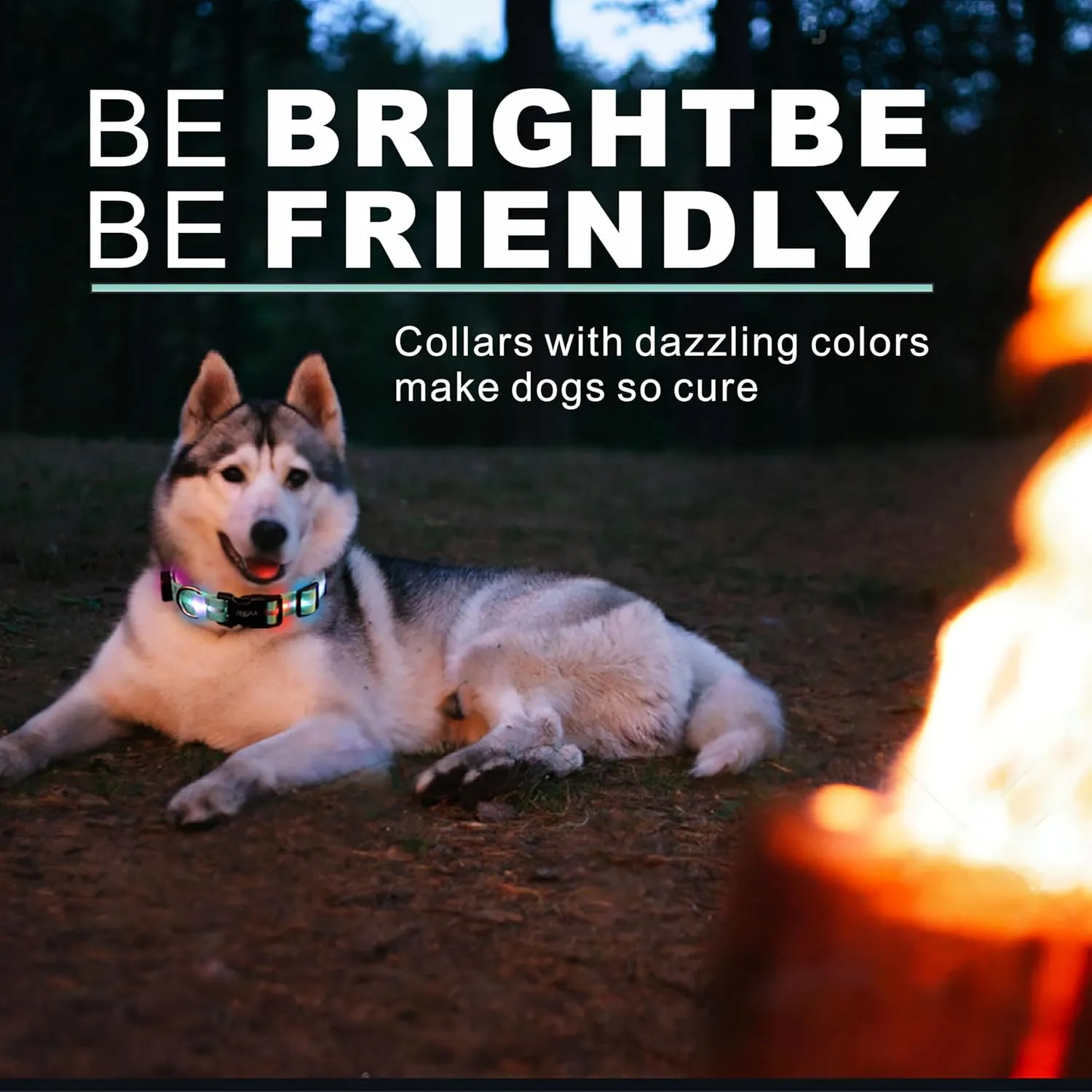 Light up Dog Collars, LED Dog Collar Light, USB Rechargeable Bright Flashing Dog Collar with Waterproof, Lighted Safety Collar for Walking at Night for Small Medium Large Dogs(Blue)