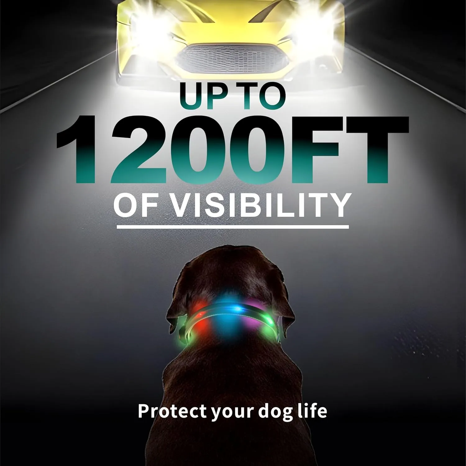 Light up Dog Collars, LED Dog Collar Light, USB Rechargeable Bright Flashing Dog Collar with Waterproof, Lighted Safety Collar for Walking at Night for Small Medium Large Dogs(Blue)