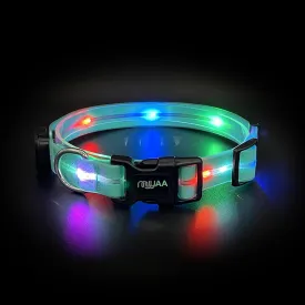 Light up Dog Collars, LED Dog Collar Light, USB Rechargeable Bright Flashing Dog Collar with Waterproof, Lighted Safety Collar for Walking at Night for Small Medium Large Dogs(Blue)