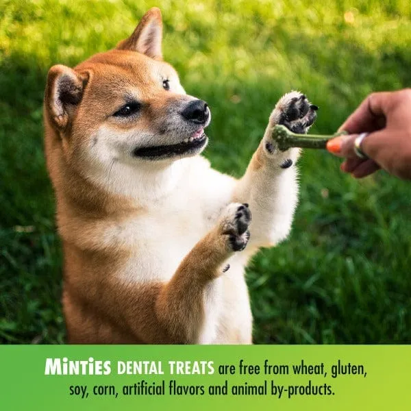 Minties Tiny/Small Dental Bones for Dogs