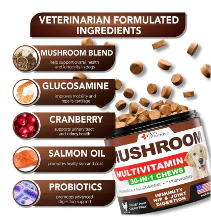 Mushroom Supplement for Immunity Support Multivitamin Joint Health Energy Gut Skin Vitamins for Dogs - 170 count