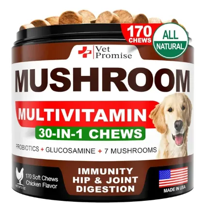 Mushroom Supplement for Immunity Support Multivitamin Joint Health Energy Gut Skin Vitamins for Dogs - 170 count