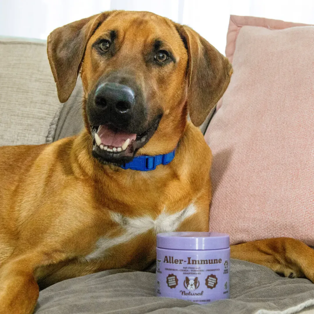 Natural Dog Company Aller-Immune